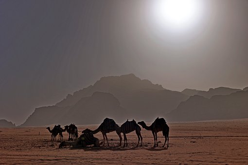 Jordán, Desierto, Naturaleza, Turismo