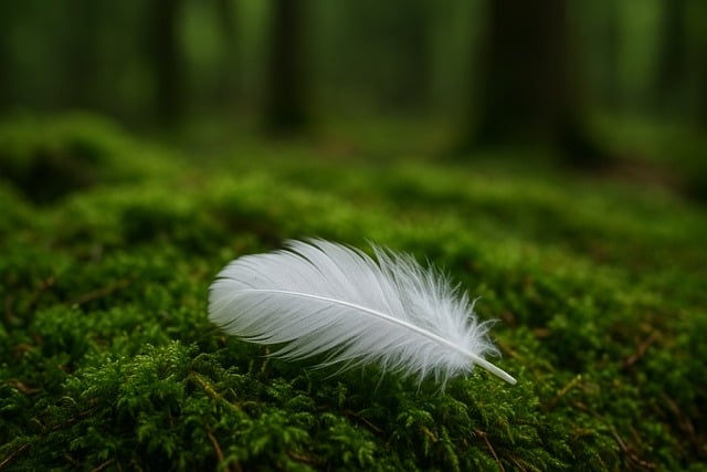 Free ai generated feather background illustration