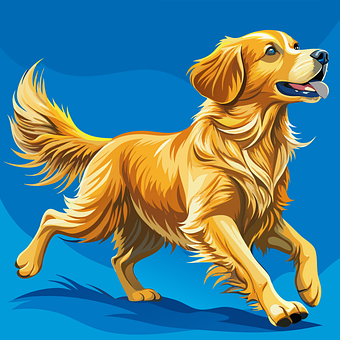 Golden, Retriever, Hund, Haustier, Läuft