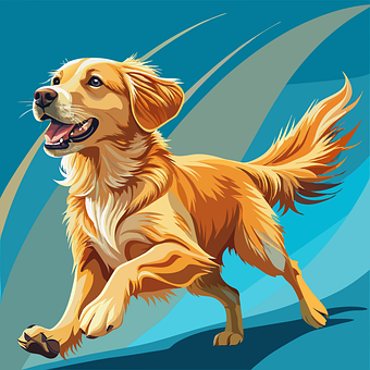 Hund, Haustier, Retriever