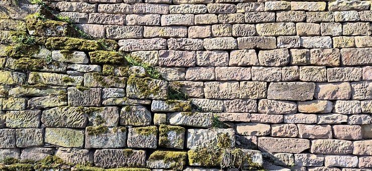 Free Wall Nature Wall photo and picture