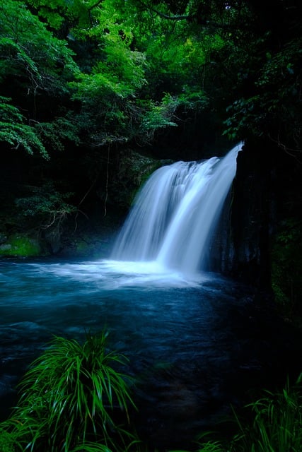 Arroyo, Naturaleza, Paisaje, Cascada