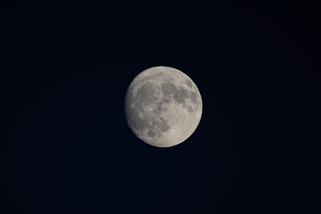 Free Moon Night photo and picture