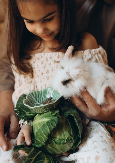 Frühling, Hase, Dame, Mädchen, Porträt
