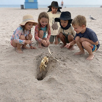 Strand, Kinder, Krabbe, Spielen