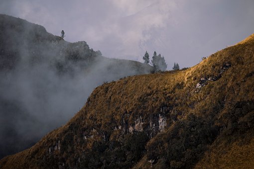 Free Mountain Mist photo and picture