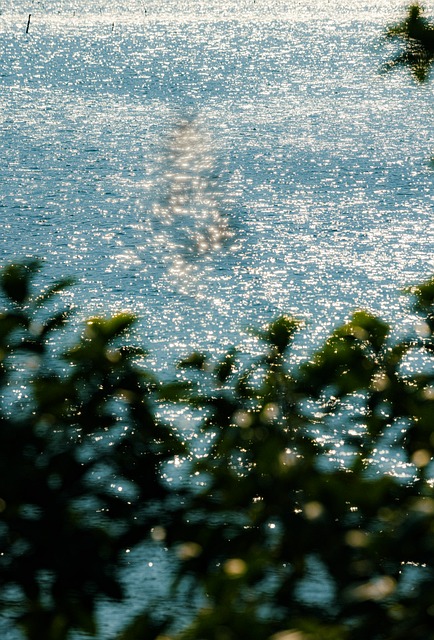Free Country Sea photo and picture