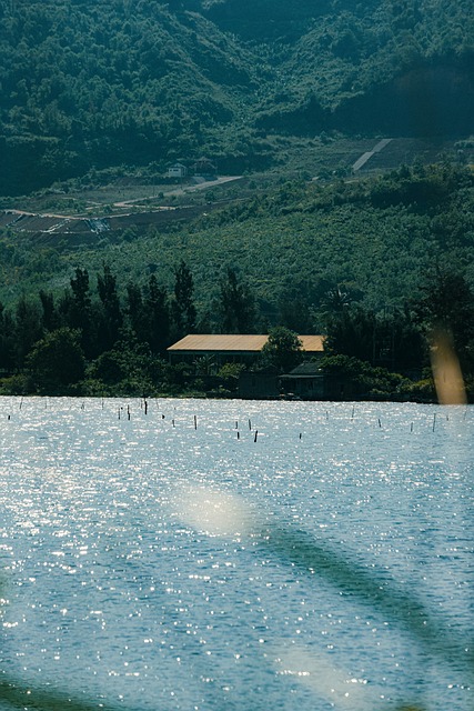 Free Sea Wave photo and picture