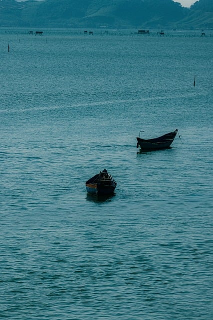 Free Boat Sea photo and picture