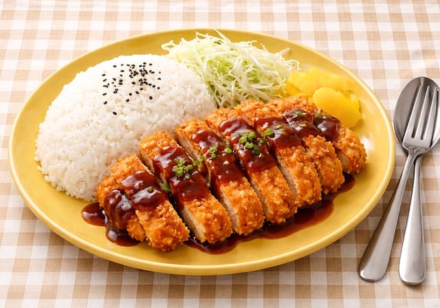 Free chicken katsu chicken katsu illustration