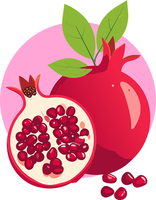 Free fruit pomegranate red vector