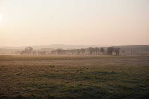 Mist, Veld, Bomen, Ochtend, Zonsopgang