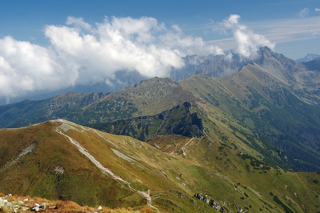 Free tatra mountain landscape illustration