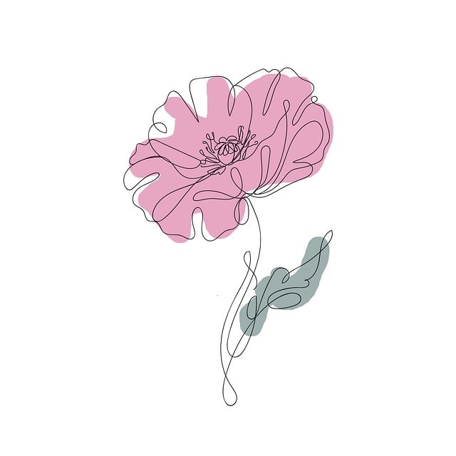 Free poppy flower boho illustration