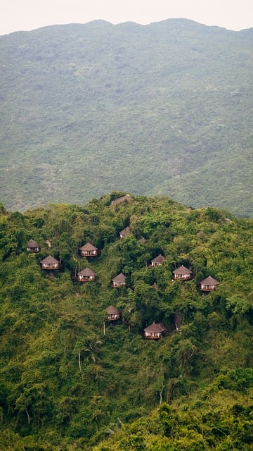 Bjerge, Natur, Hainan, Skov, Camping