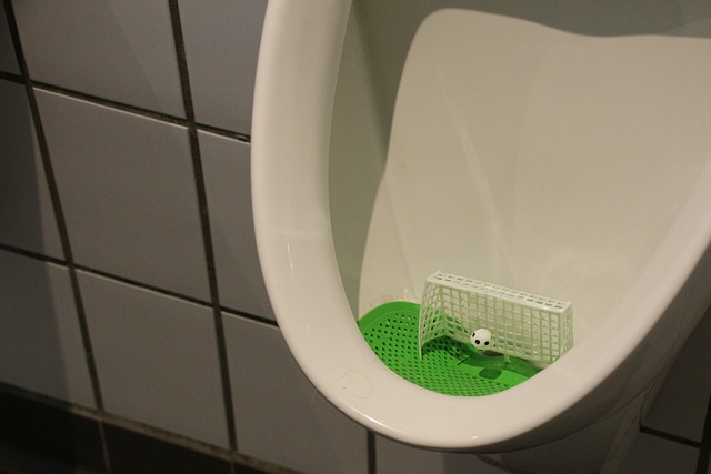Wc, Pisuár, Brána, Cieľ, Zameranie