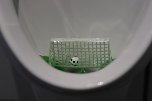Wc, Pisuár, Brána, Cieľ, Sloboda