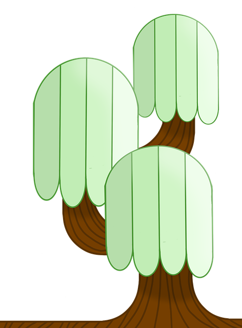 Free tree nature willow illustration