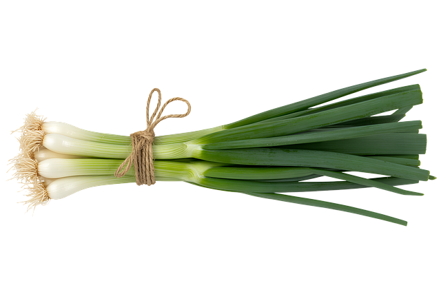 Free green onion spring onion scallion illustration