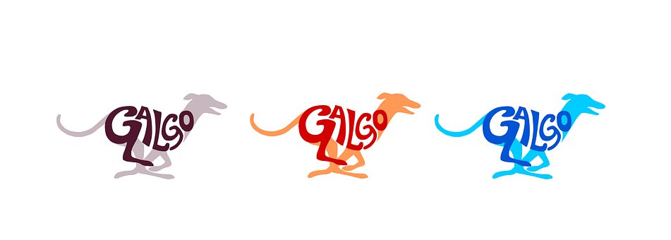 Galgo, Ogar, Bunăstarea Animalelor