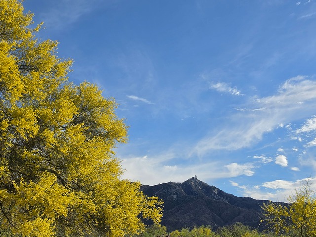 Free Tucson Arizona photo and picture