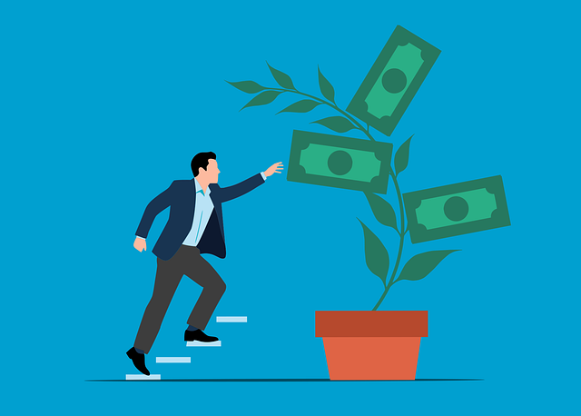 Free money plant success vector