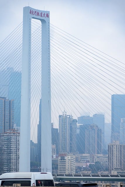 Free Chongqing Bridge photo and picture