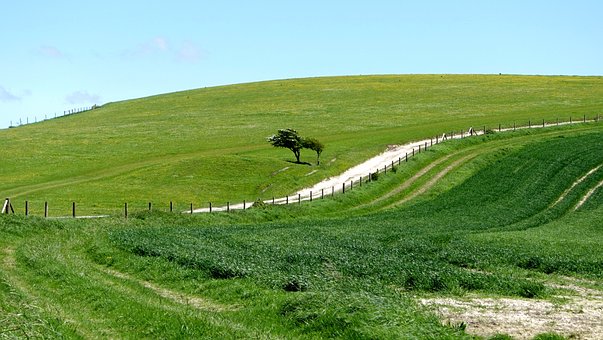 Frühling, Weg, Baum, Natur, Landschaft