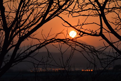 Free Sunset Evening photo and picture