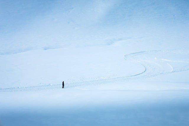 Free Nature Landscape photo and picture