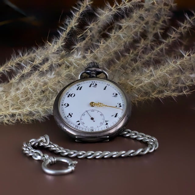 Free Pocket Watch Chain photo and picture