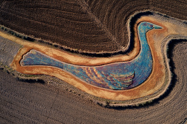 Free Earthwork Art photo and picture