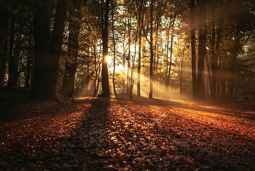 Free Landscape Nature photo and picture