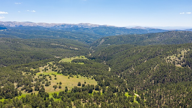 Peisaj, Natură, Pădure, Văi, Verde, Deal