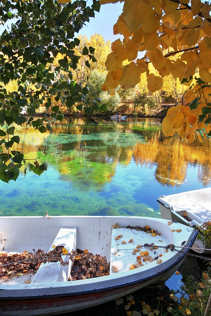 Barcă, Lac, Toamnă, Frunze, Reflexie