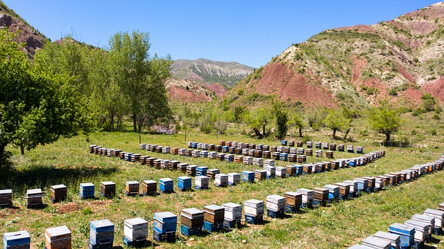 Stupi, Agricultură, Natură