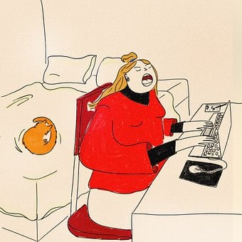 Ноутбук, Работающий, Дом, Кошка