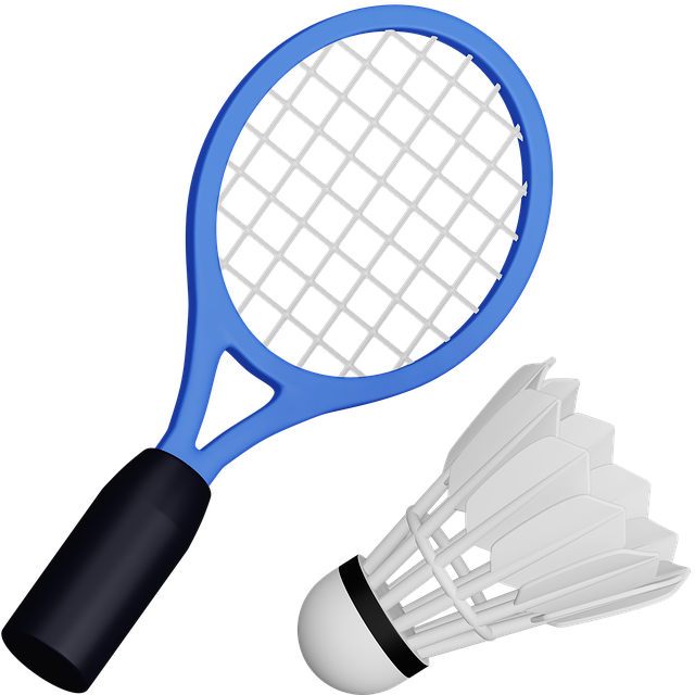 Free Badminton Racket illustration and picture