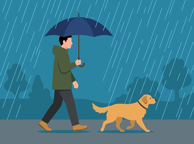 Free walking dog rain vector