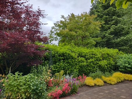 Free Green Garden photo and picture