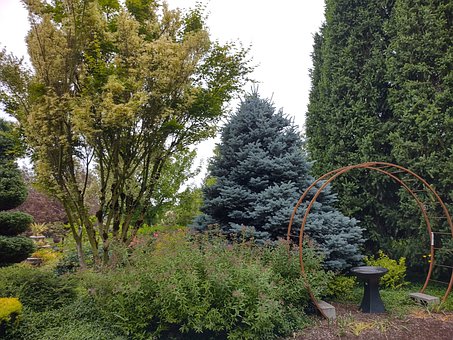 Free Green Garden photo and picture
