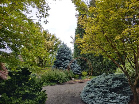 Free Green Garden photo and picture