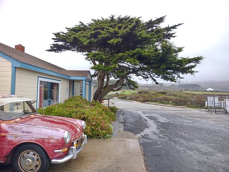 Free Half Moon Bay Ca photo and picture