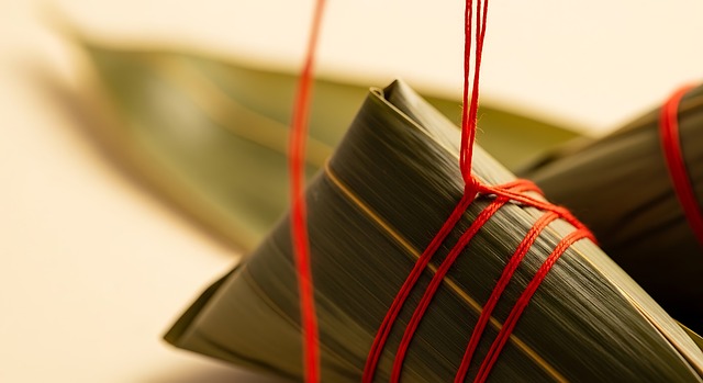 Free zongzi dumpling rice illustration