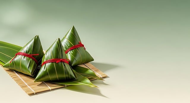 Free zongzi chinese food rice dumplings illustration