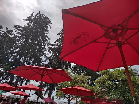 Free Red Umbrellas Red photo and picture