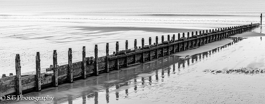 Free Sea Beach photo and picture