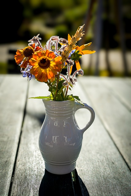Blumenvase, Natur, Blomst, Flok Blomster
