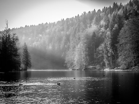 Lago, Natureza, Agua, Preto E Branco