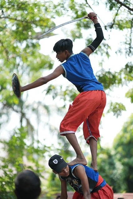 Free Martial Arts Warriors photo and picture
